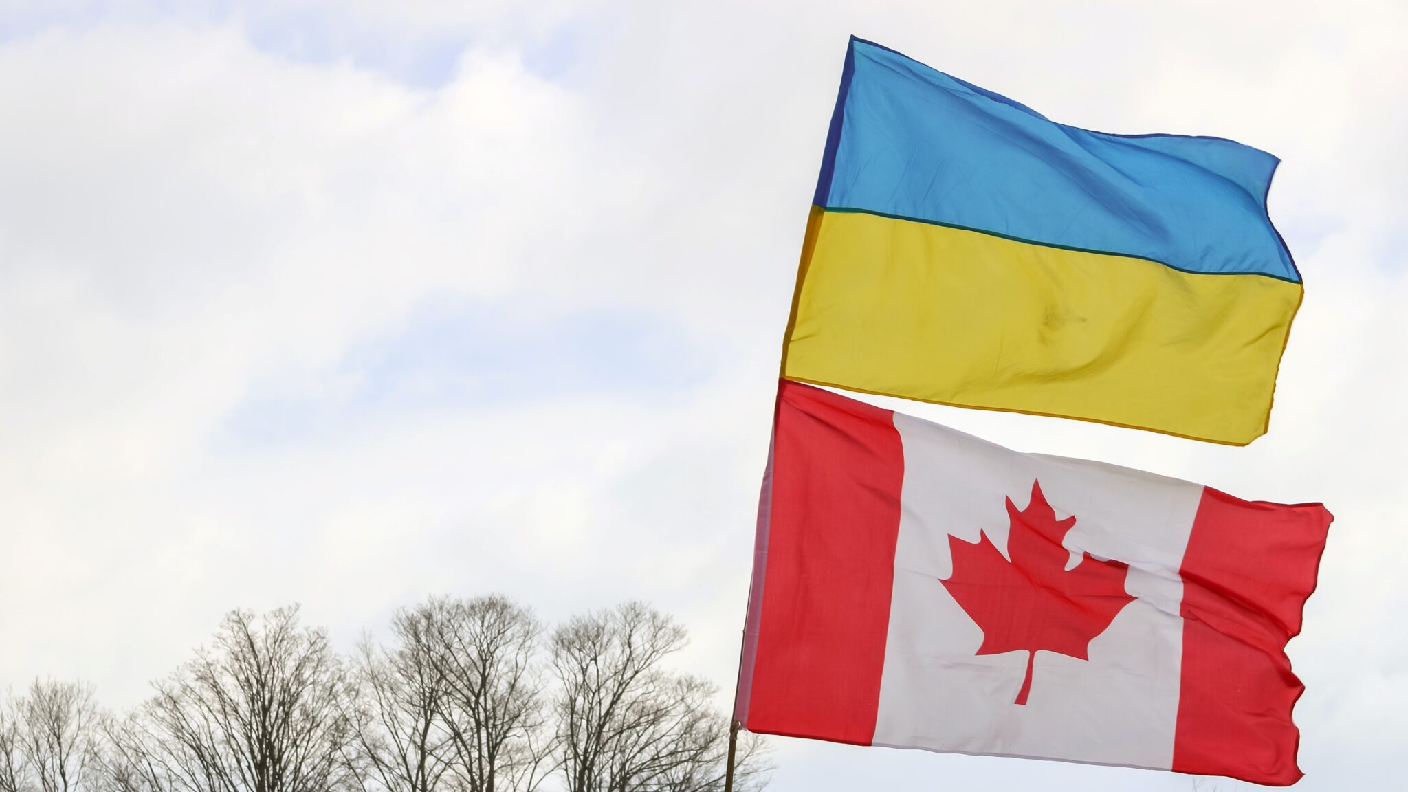 CUAET: Канада Приглашает Украинцев