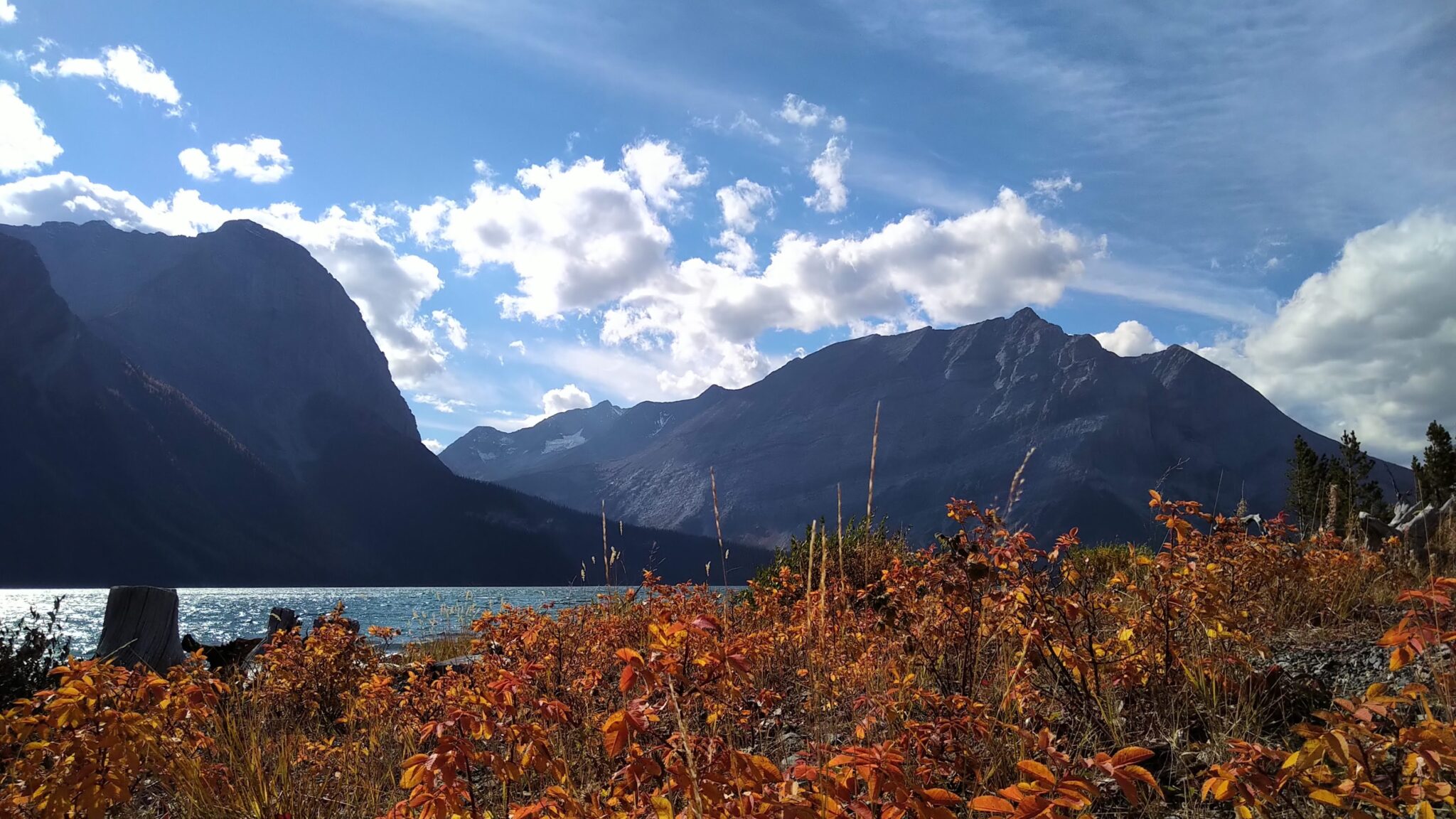 Canada's Plans for 2022: Any Changes in Immigration?