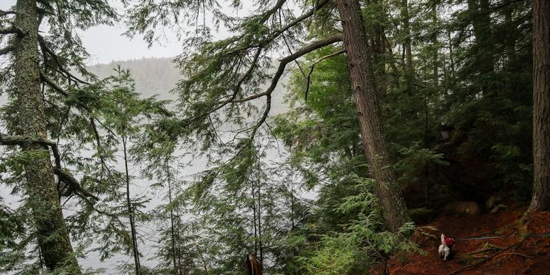 Post Graduation Work Permit