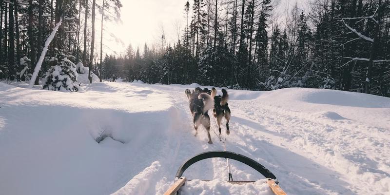 Francophone Work Permit