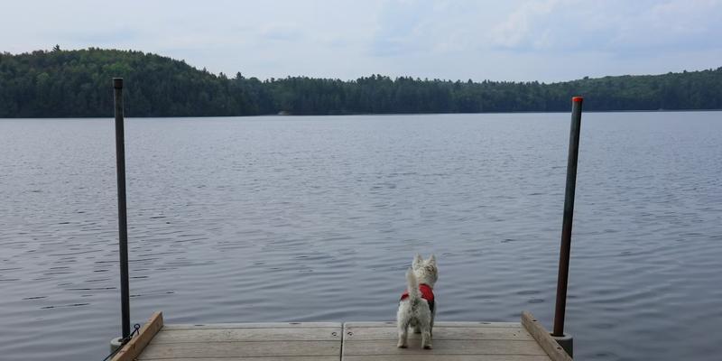 Work Permits for Family Members