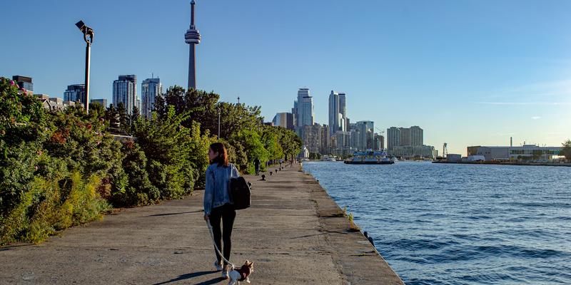 Free Trade Agreement Work Permits