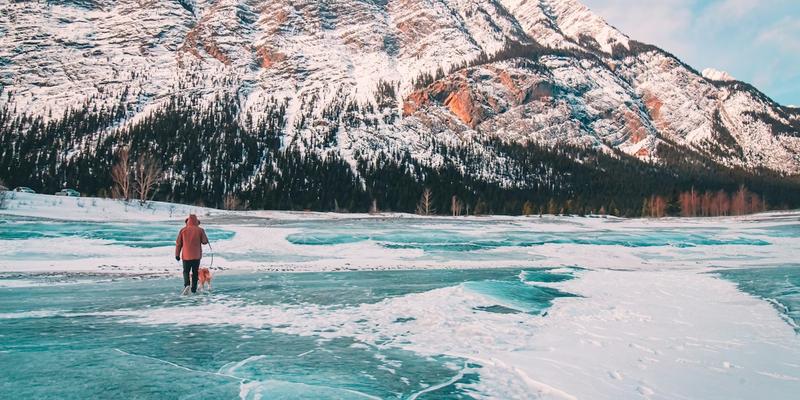 Provincial Nominee Program